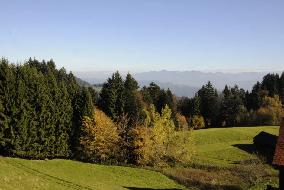 Herbstliche Berglandschaft am Pfänder mit Blick in den Bregenzerwald