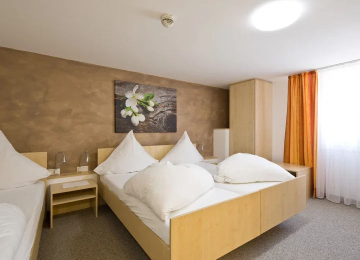 Zimmerbeispiel mit Doppelbett in der Pension zum Löwen in Dornbirn